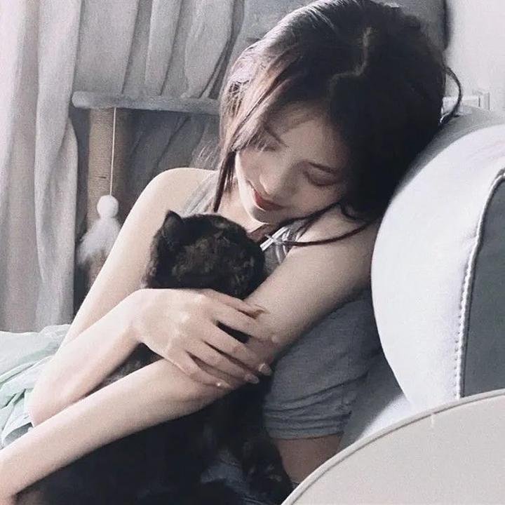 送赞雪橇犬